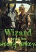 wizard-starting-from-shoeing-donkeys